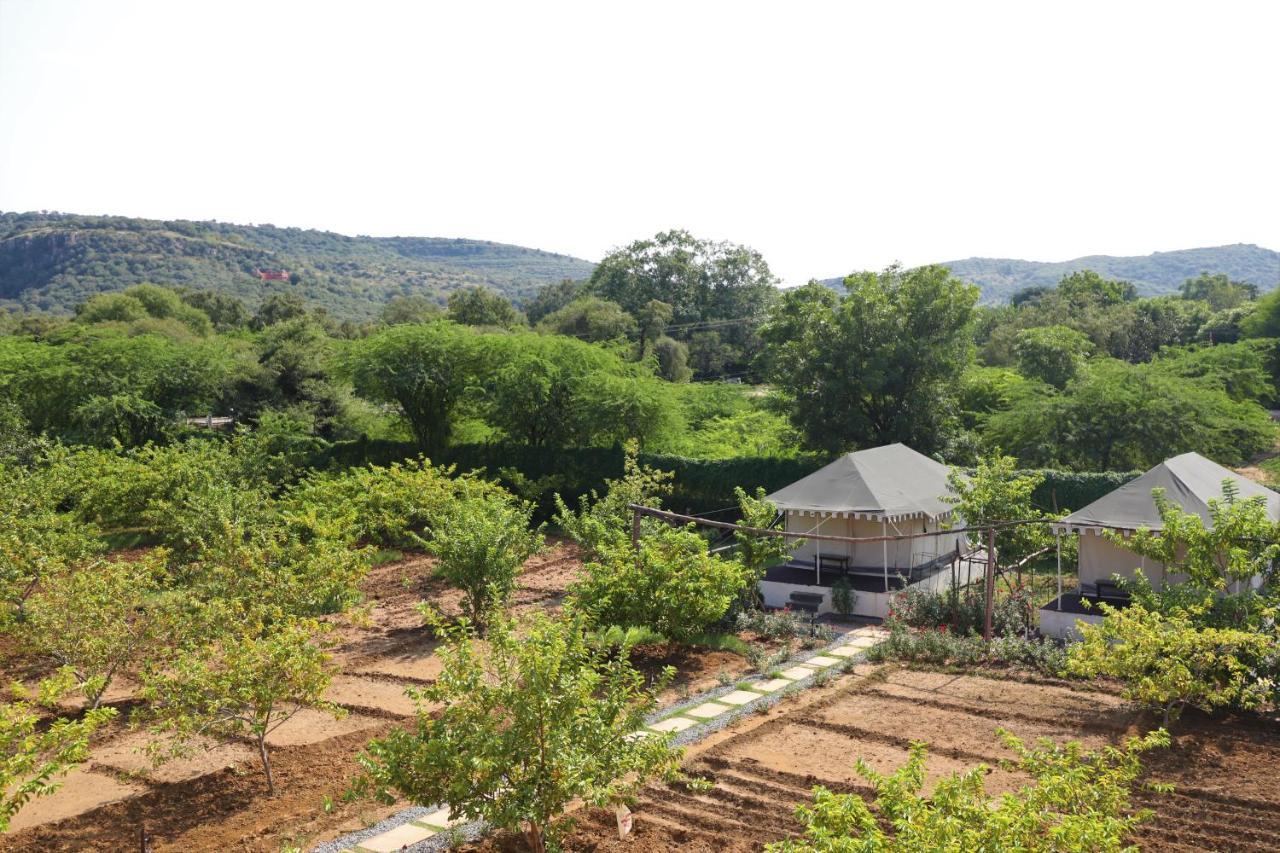 Camp Paridhi Ranthambhore, Homestay Sawai Madhopur Exterior photo