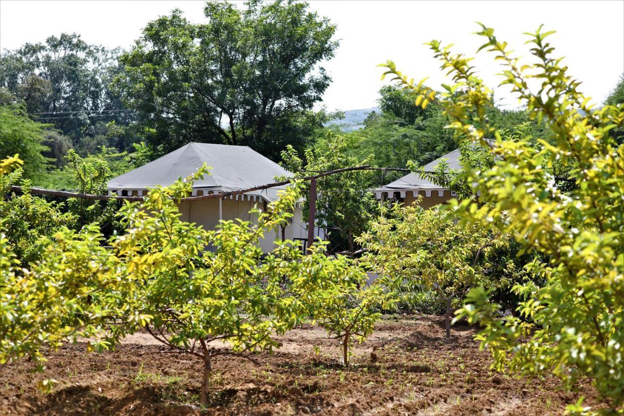 Camp Paridhi Ranthambhore, Homestay Sawai Madhopur Exterior photo